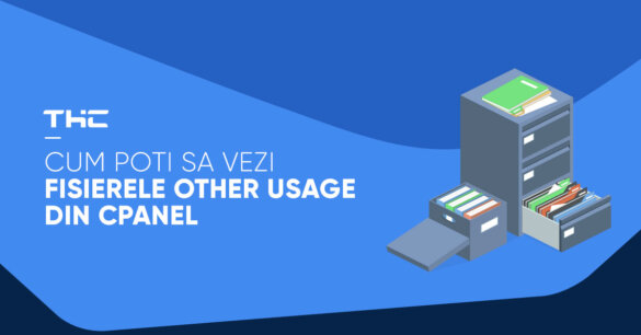 cum vezi fisierele other usage din cpanel