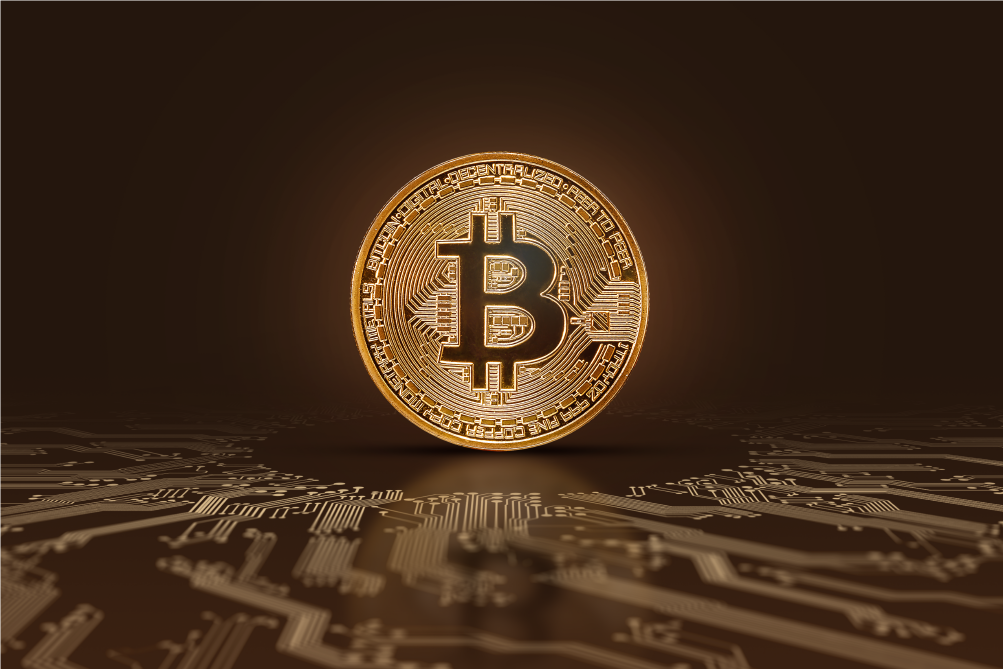 Gazduire Bitcoin - Plateste Gazduirea Web cu Bitcoin